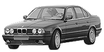 BMW E34 P2493 Fault Code